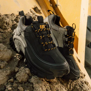 Built for the Modern Explorer